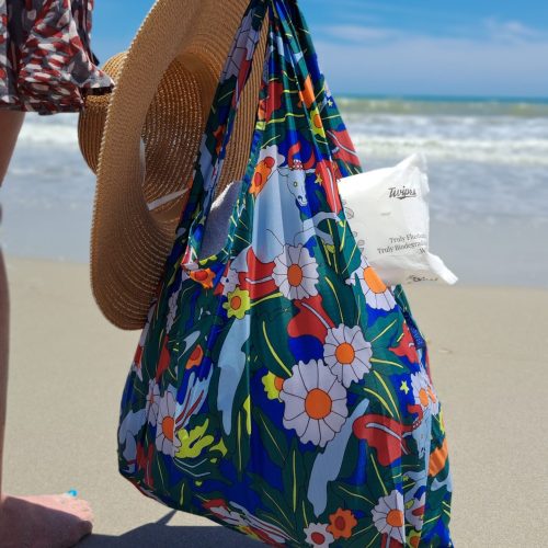 beach-baggu